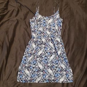 Old Navy bird and floral dress